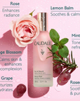 CAUDALIE BEAUTY ELIXIR 100ML