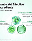 Anua HeartLeaf Quercetinol Pore Deep Cleansing Foam 150 ML