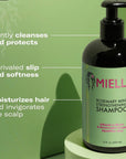 MIELLE ORGANICS ROSEMARY MINT STRENGTHENING SHAMPOO 355ML