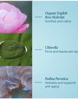 PRO-COLLAGEN ROSE MARINE CREAM 50ML