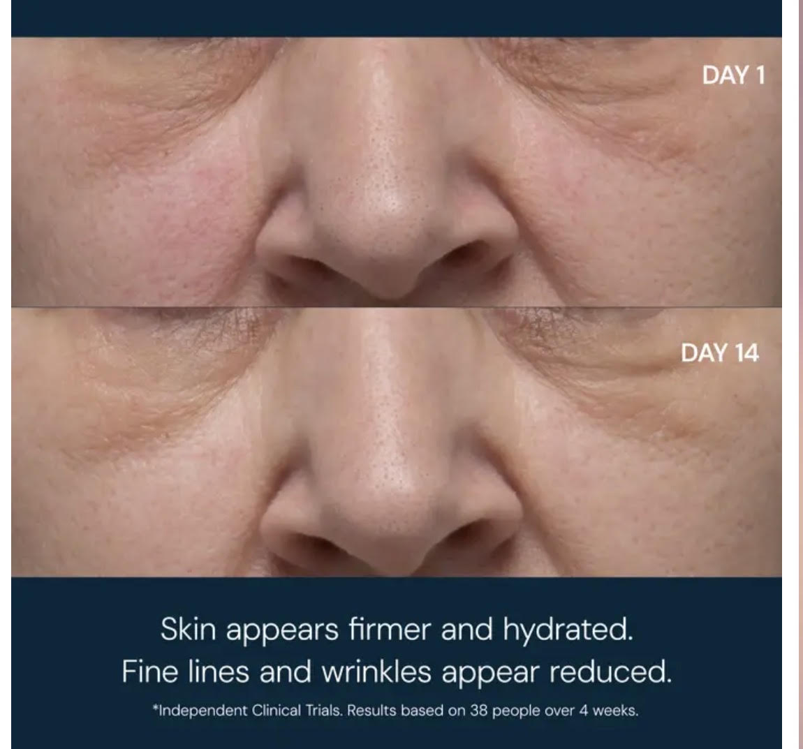 PRO-COLLAGEN ROSE MARINE CREAM 50ML